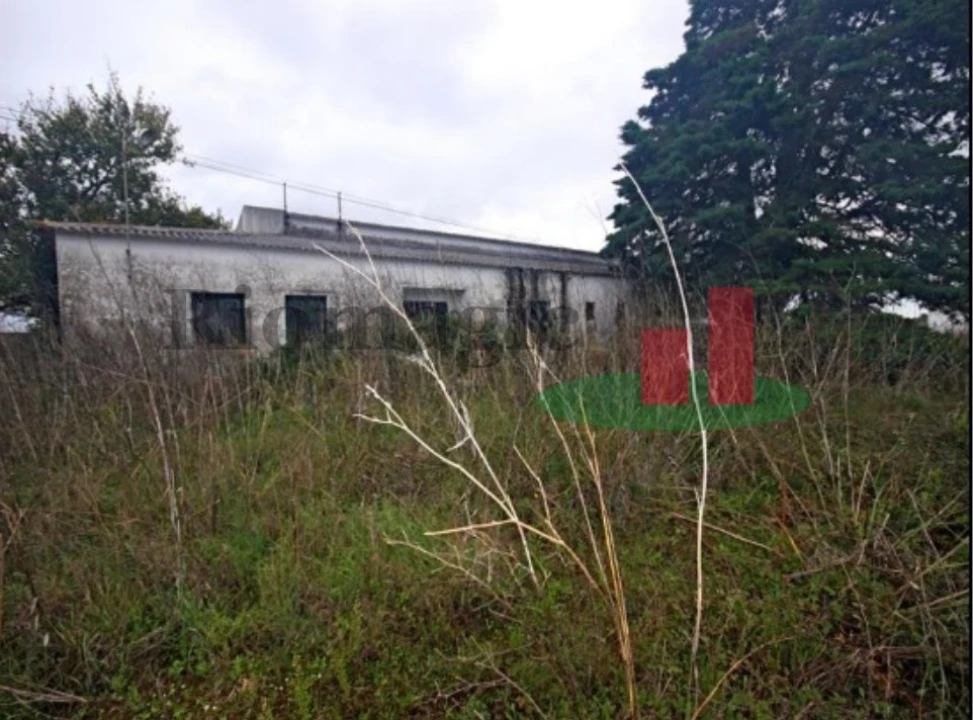 Armazém para Venda em Marvila, Ribeira Santarém, São Salvador, São Nicolau Foto 6