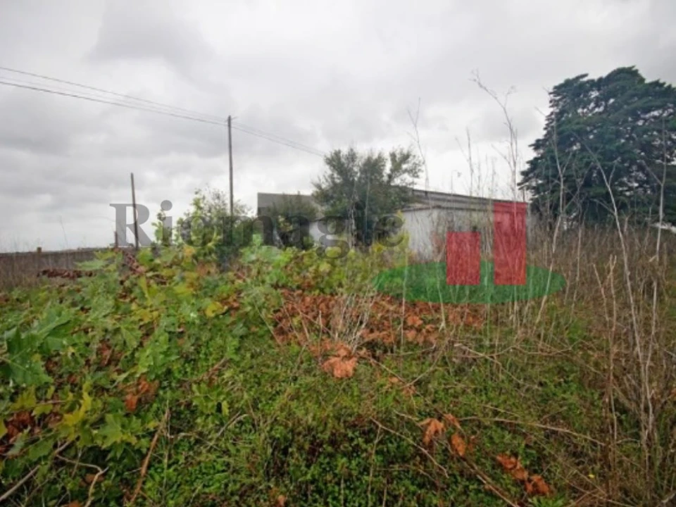 Armazém para Venda em Marvila, Ribeira Santarém, São Salvador, São Nicolau Foto 9
