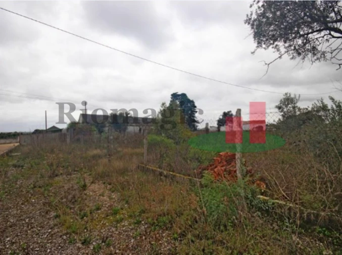 Armazém para Venda em Marvila, Ribeira Santarém, São Salvador, São Nicolau Foto 4