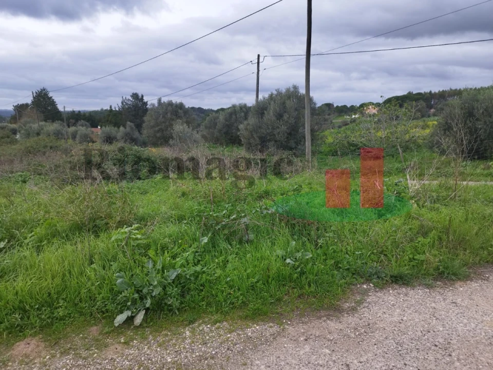 Terreno para Venda em São João da Ribeira e Ribeira de São João Foto 16