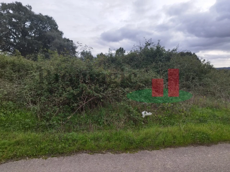 Terreno para Venda em São João da Ribeira e Ribeira de São João Foto 19