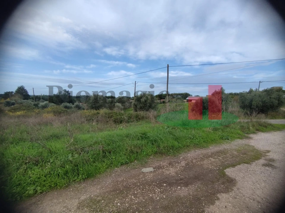Terreno para Venda em São João da Ribeira e Ribeira de São João Foto 22