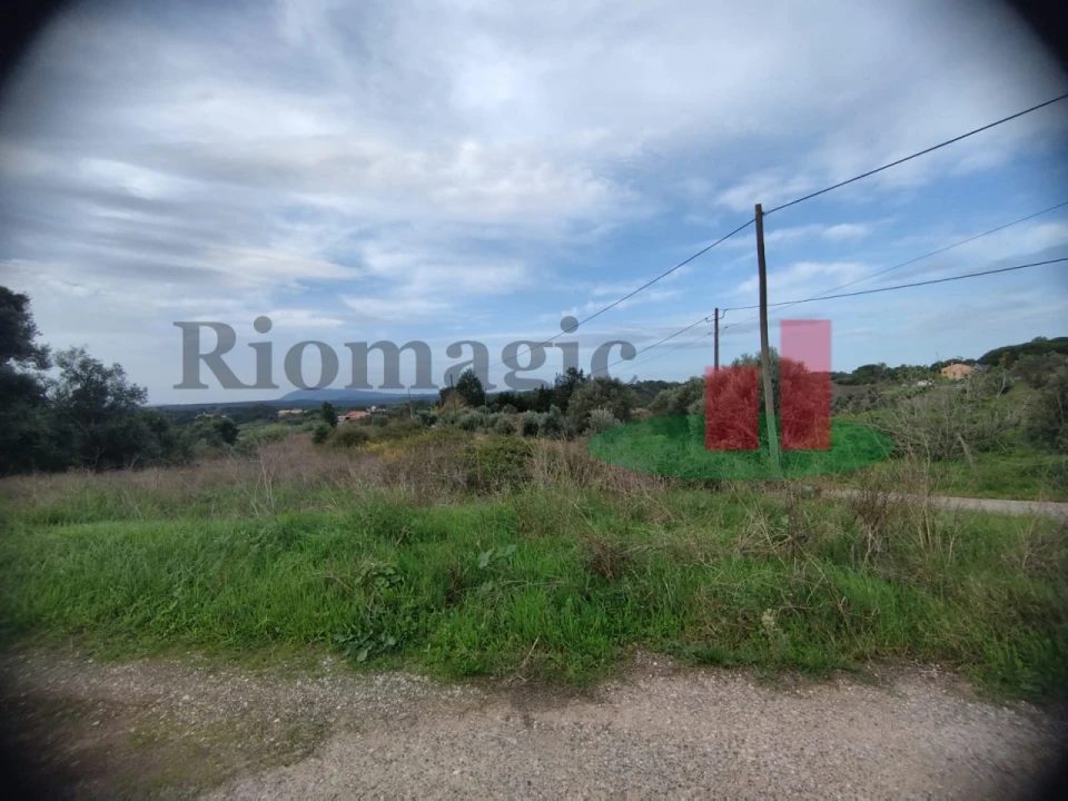 Terreno para Venda em São João da Ribeira e Ribeira de São João Foto 23