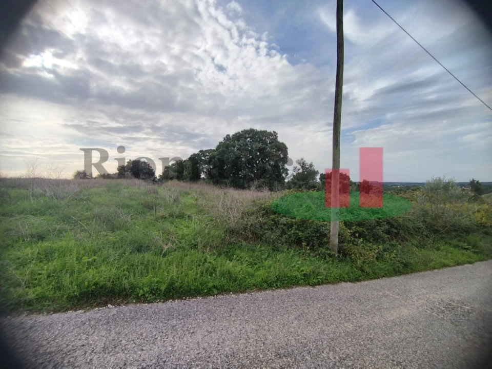 Terreno para Venda em São João da Ribeira e Ribeira de São João Foto 26