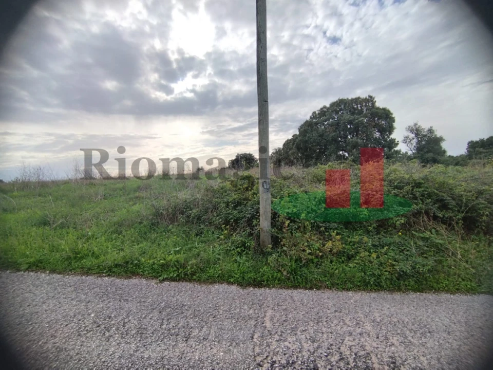 Terreno para Venda em São João da Ribeira e Ribeira de São João Foto 28