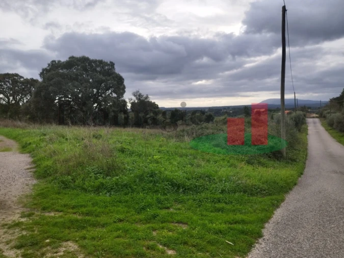 Terreno para Venda em São João da Ribeira e Ribeira de São João Foto 11