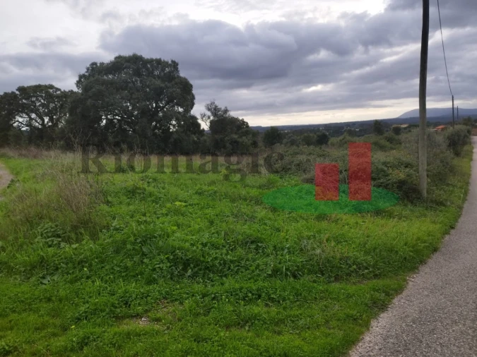 Terreno para Venda em São João da Ribeira e Ribeira de São João Foto 12