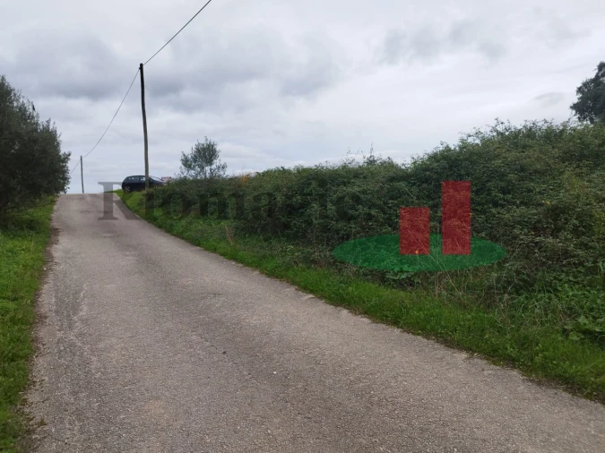 Terreno para Venda em São João da Ribeira e Ribeira de São João Foto 18