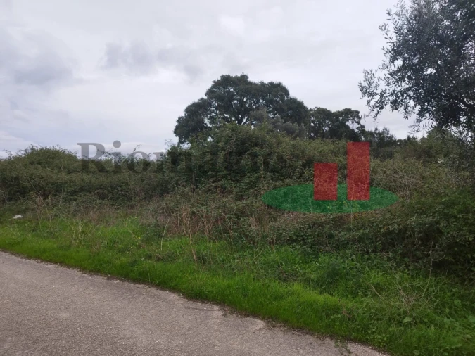 Terreno para Venda em São João da Ribeira e Ribeira de São João Foto 20