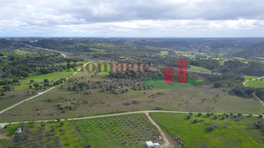 Terreno para Venda em São João da Ribeira e Ribeira de São João Foto 5