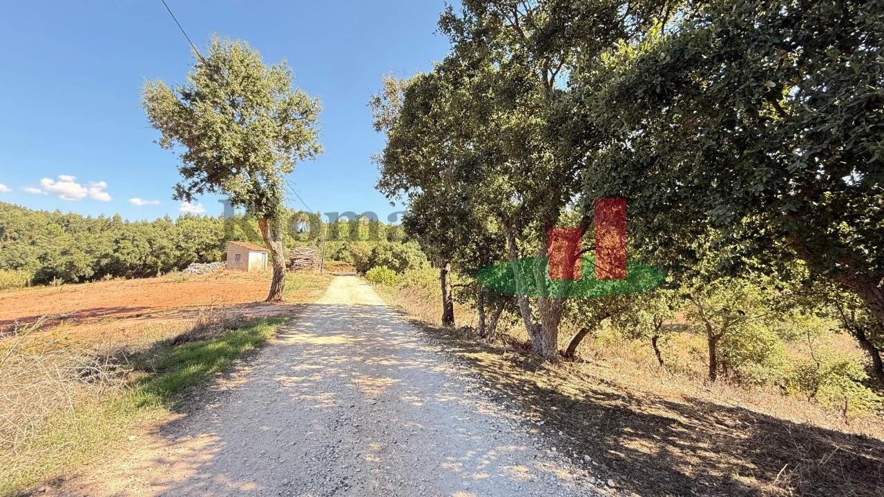 Terreno para Venda em Alcobertas Foto 5