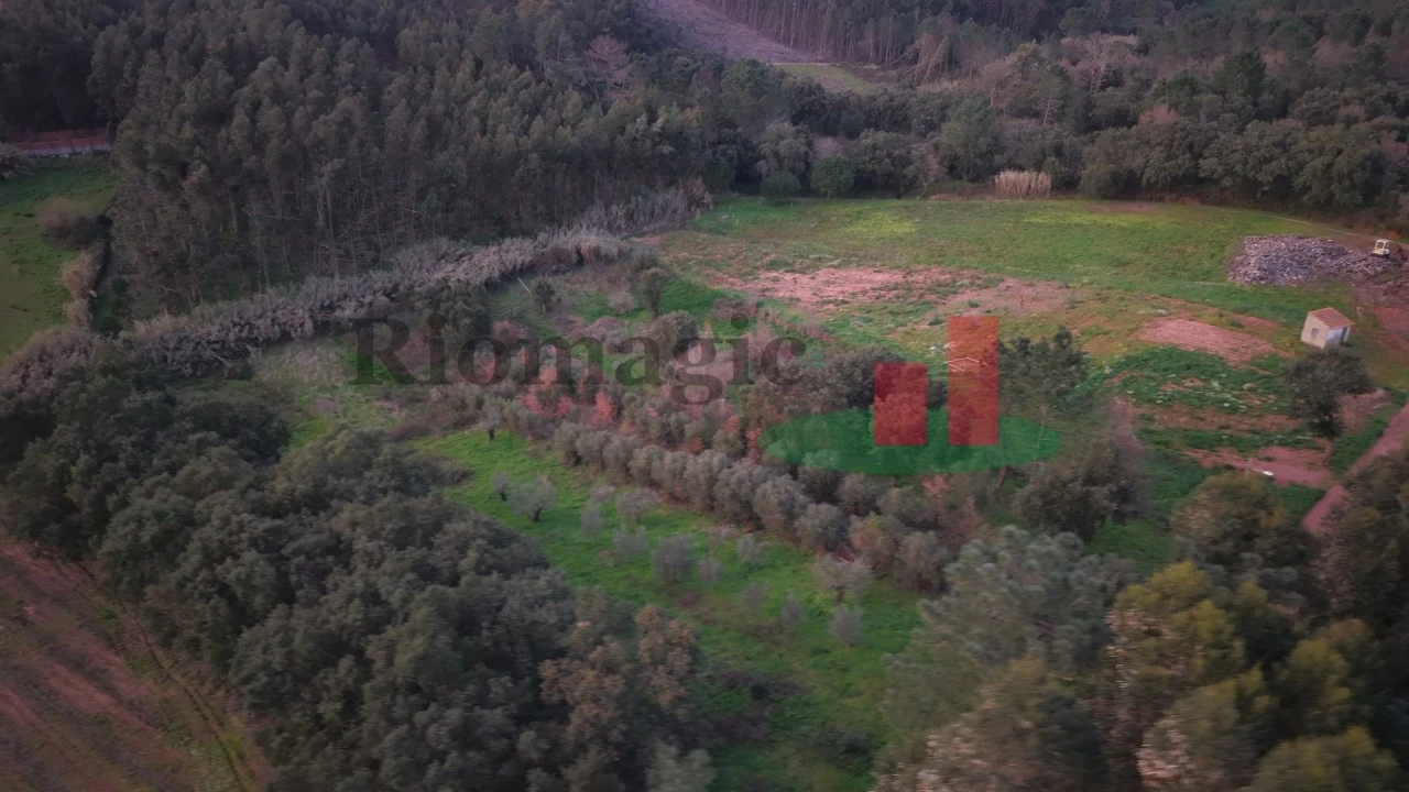 Terreno para Venda em Alcobertas Foto 8