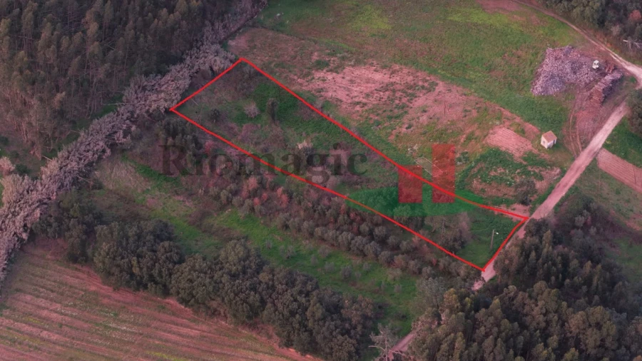 Terreno para Venda em Alcobertas Foto 1