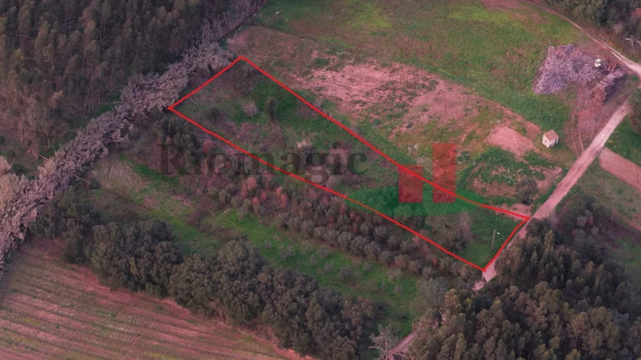 Terreno Agricola ou Rústico para Venda em Alcobertas