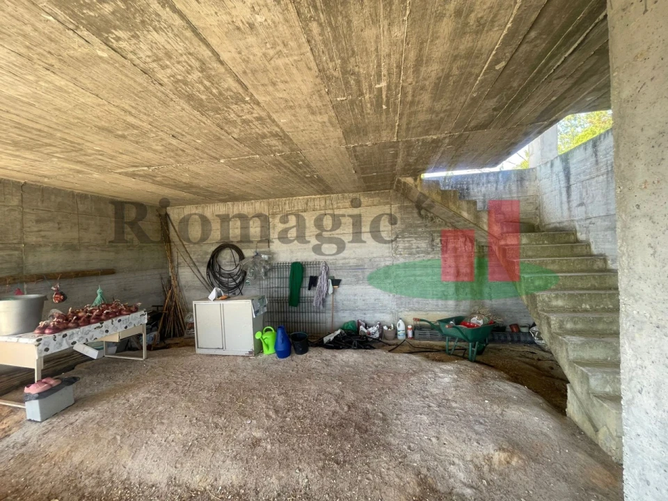 Terreno para Venda em São João da Ribeira e Ribeira de São João Foto 12