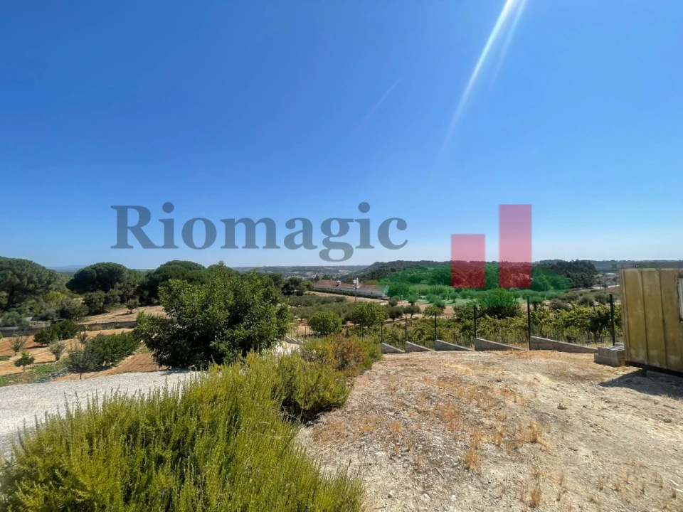 Terreno para Venda em São João da Ribeira e Ribeira de São João Foto 32