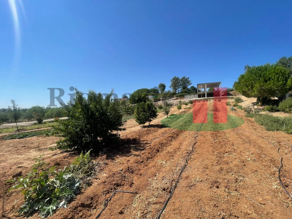 Terreno para Venda em São João da Ribeira e Ribeira de São João Foto 41