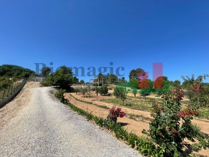 Terreno para Venda em São João da Ribeira e Ribeira de São João Foto 1