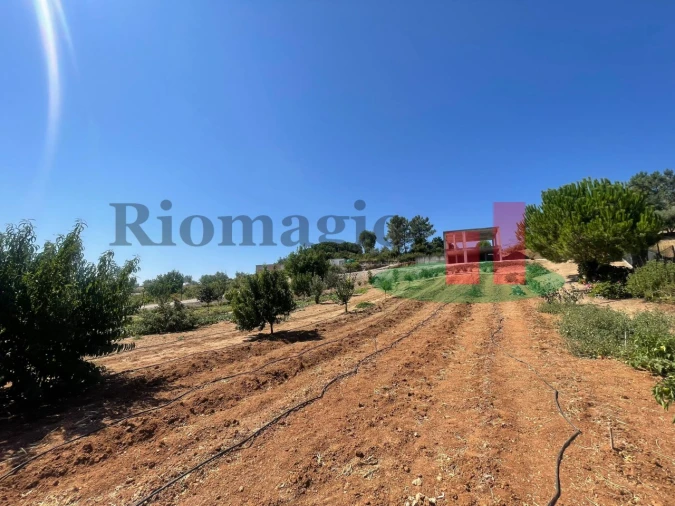 Terreno para Venda em São João da Ribeira e Ribeira de São João Foto 31