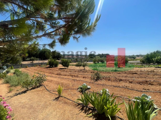 Terreno para Venda em São João da Ribeira e Ribeira de São João Foto 35