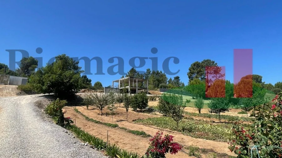 Terreno para Venda em São João da Ribeira e Ribeira de São João