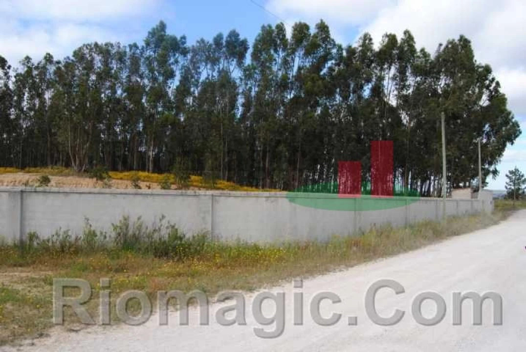 Terreno para Venda em Rio Maior Foto 2