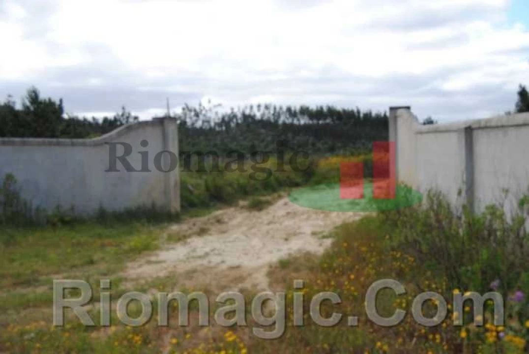 Terreno para Venda em Rio Maior Foto 3