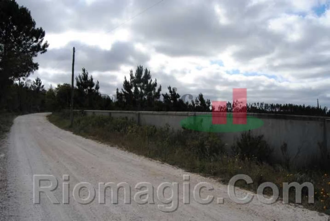 Terreno para Venda em Rio Maior Foto 5