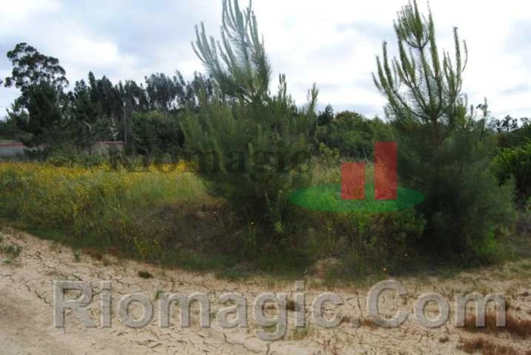 Terreno para Venda em Rio Maior Foto 8