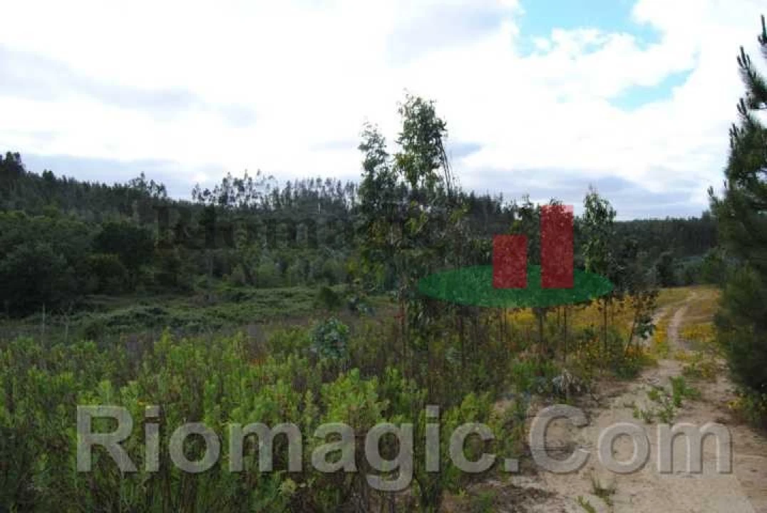 Terreno para Venda em Rio Maior Foto 10