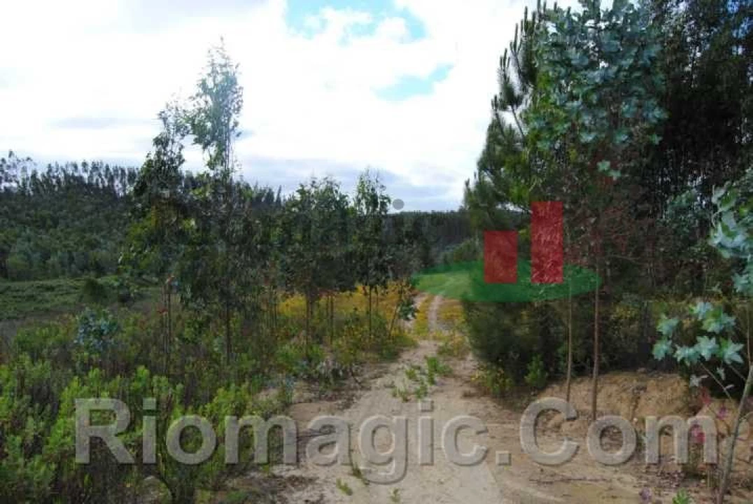 Terreno para Venda em Rio Maior Foto 12