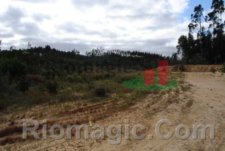 Terreno para Venda em Rio Maior Foto 6