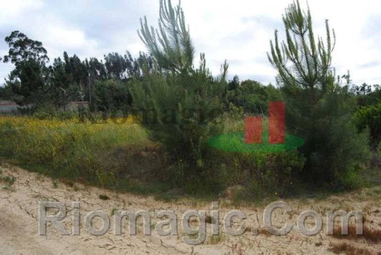 Terreno para Venda em Rio Maior Foto 8