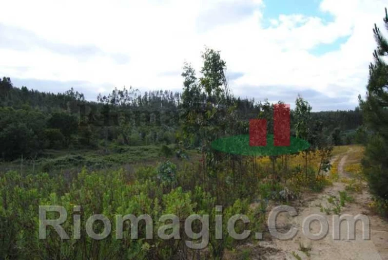 Terreno para Venda em Rio Maior Foto 10