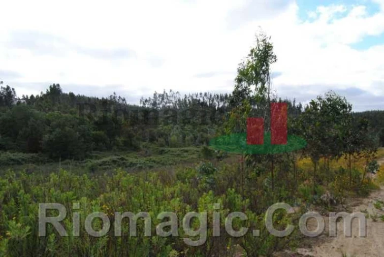 Terreno para Venda em Rio Maior Foto 11