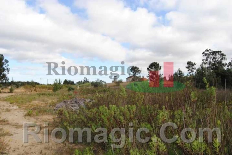 Terreno para Venda em Rio Maior Foto 13