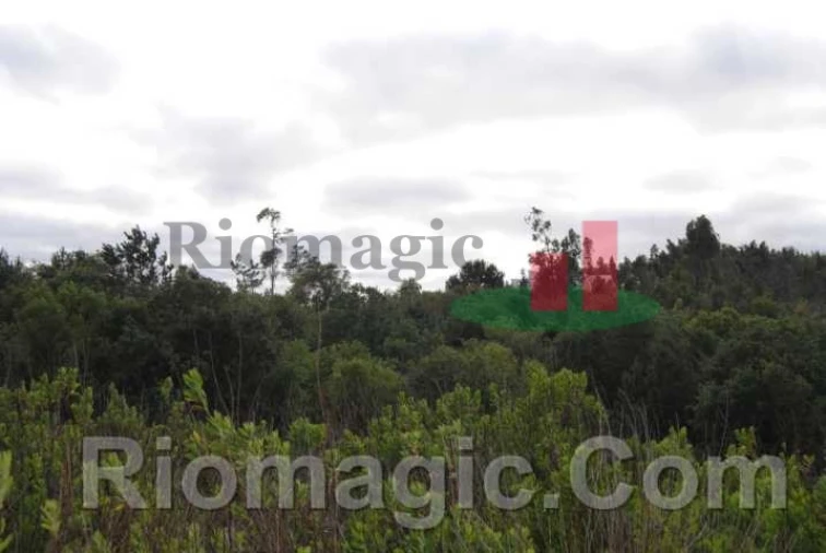 Terreno para Venda em Rio Maior Foto 15