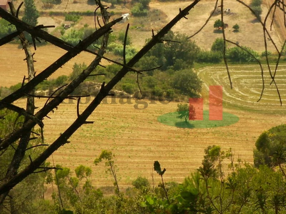 Terreno para Venda em São João da Ribeira e Ribeira de São João Foto 5
