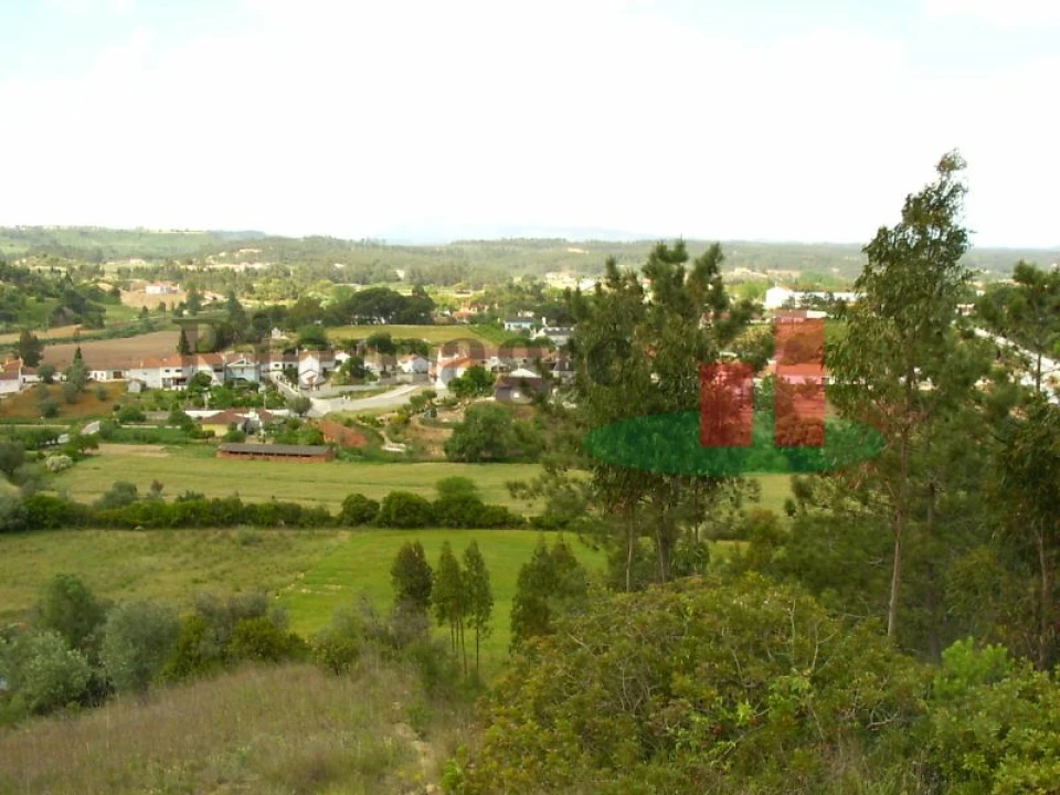 Terreno para Venda em São João da Ribeira e Ribeira de São João Foto 3