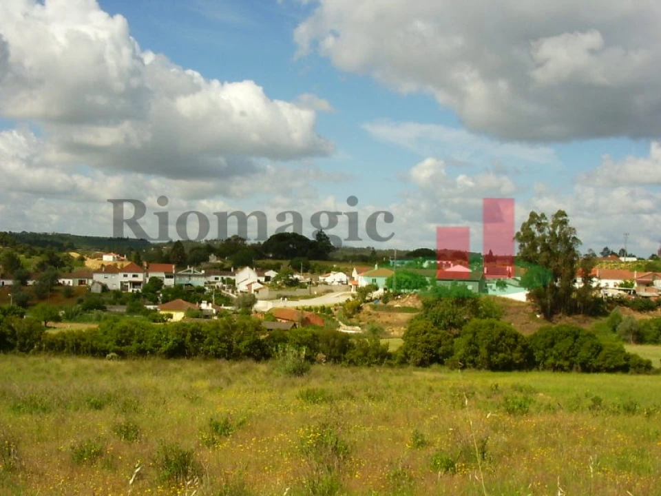 Terreno para Venda em São João da Ribeira e Ribeira de São João Foto 4