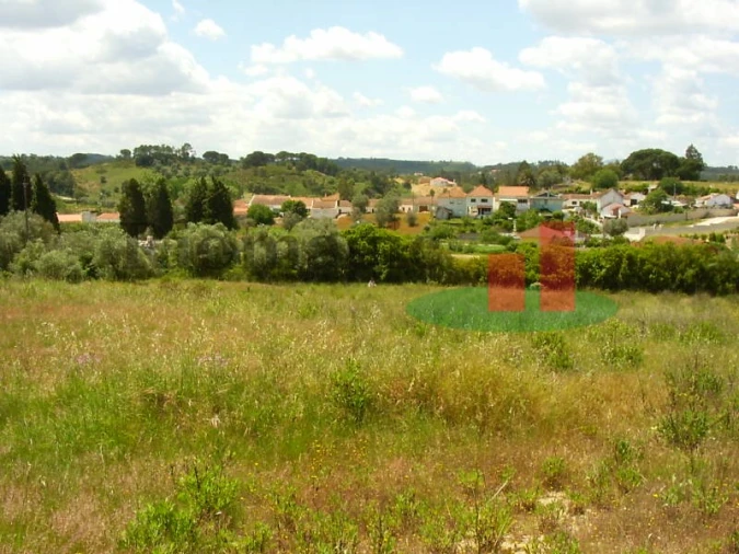 Terreno para Venda em São João da Ribeira e Ribeira de São João Foto 13