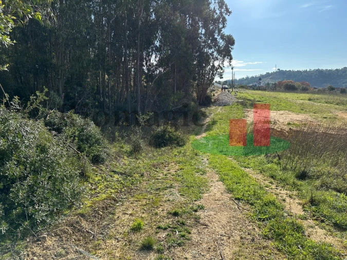 Terreno para Venda em São João da Ribeira e Ribeira de São João Foto 18