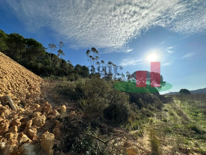 Terreno para Venda em São João da Ribeira e Ribeira de São João Foto 26