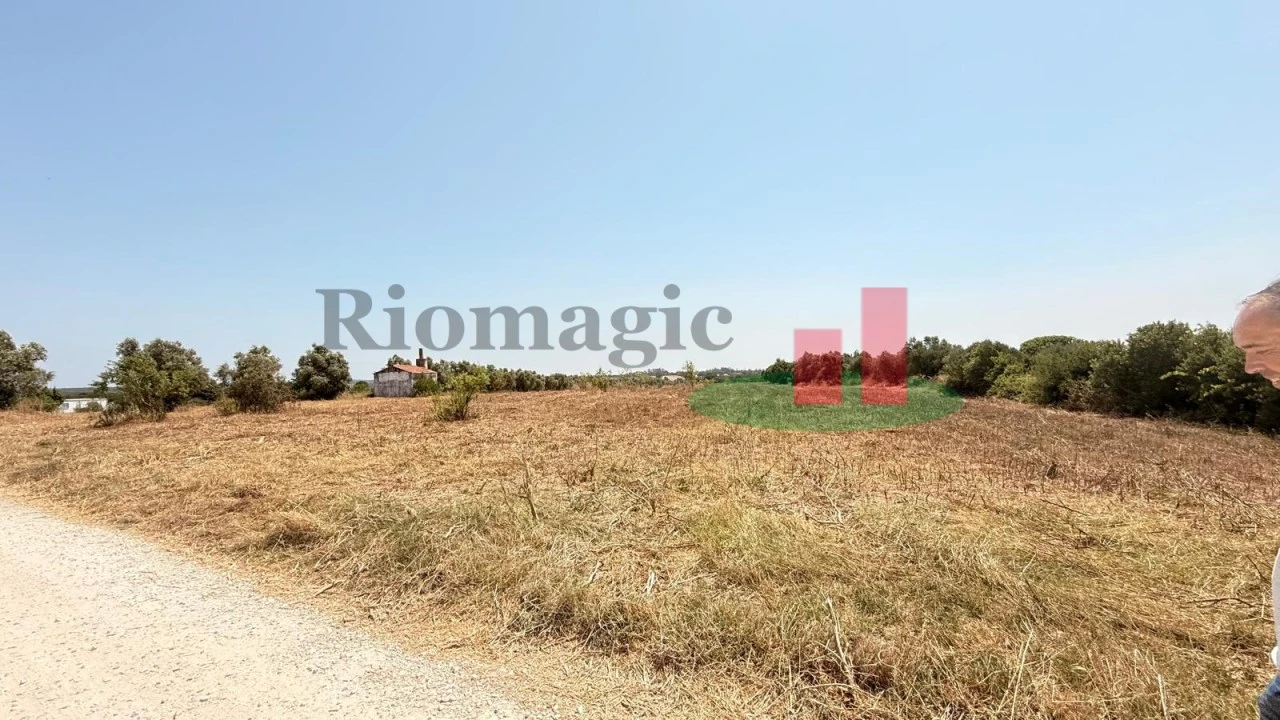 Terreno para Venda em Almoster Foto 10