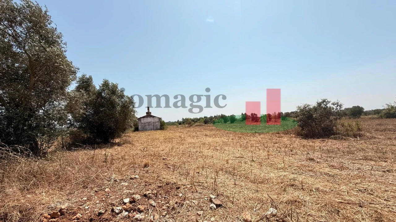 Terreno para Venda em Almoster Foto 13