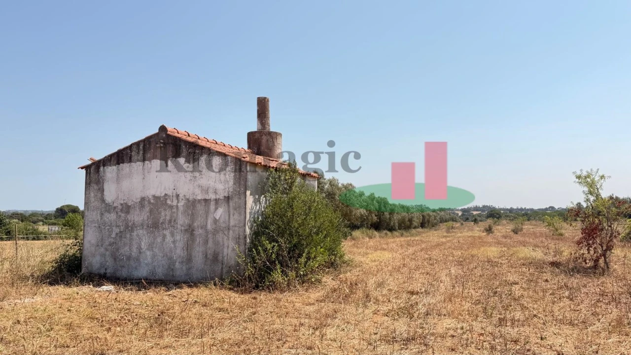 Terreno para Venda em Almoster Foto 15