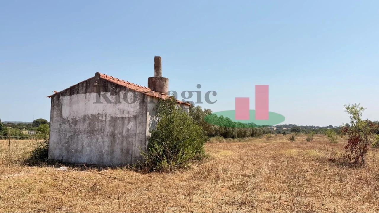 Terreno para Venda em Almoster Foto 19