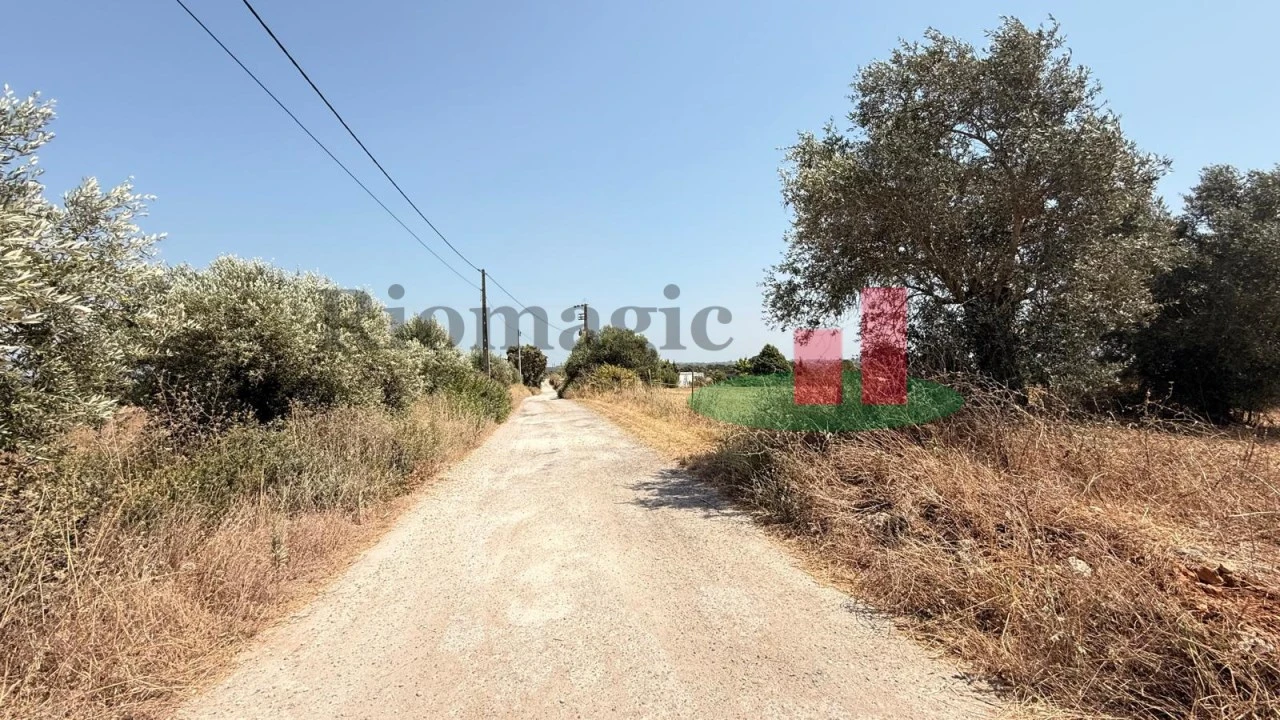 Terreno para Venda em Almoster Foto 23