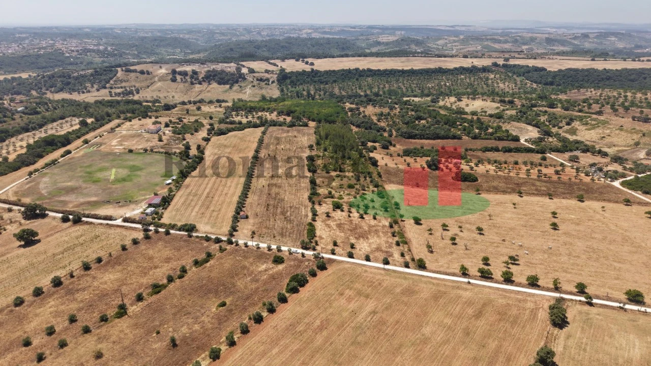 Terreno para Venda em Almoster Foto 6