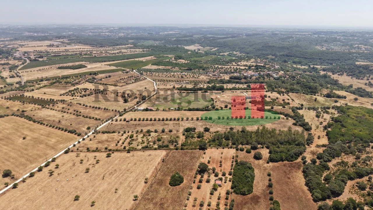 Terreno para Venda em Almoster Foto 26